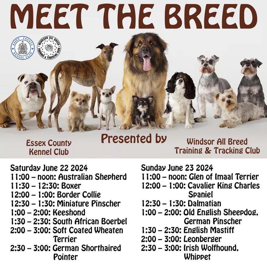 Meet The breed Image