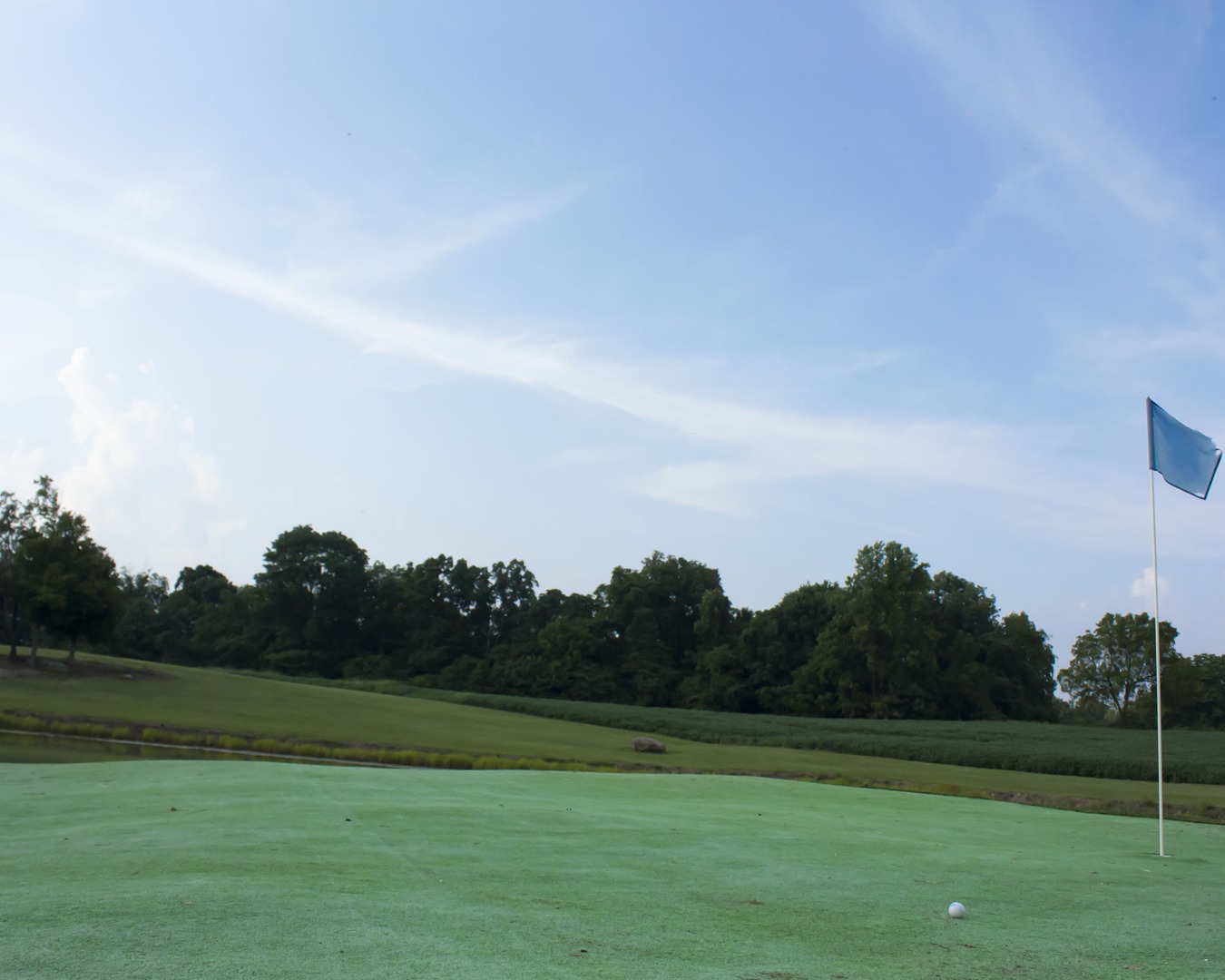 CAN YOU NAME THE 3 MISSING CLUBS IN - Cheekwood Golf Club