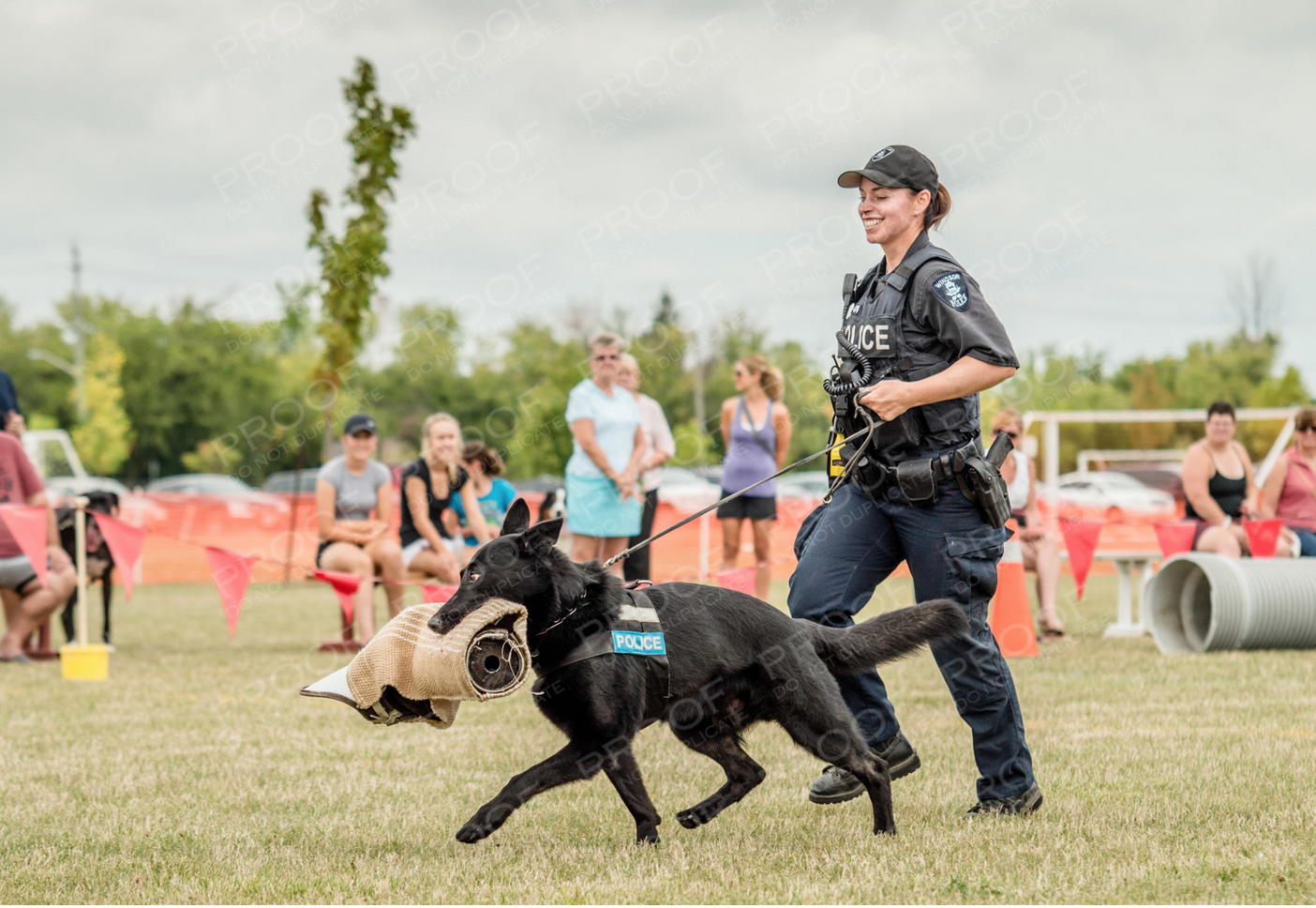 Funtastic store k9 training