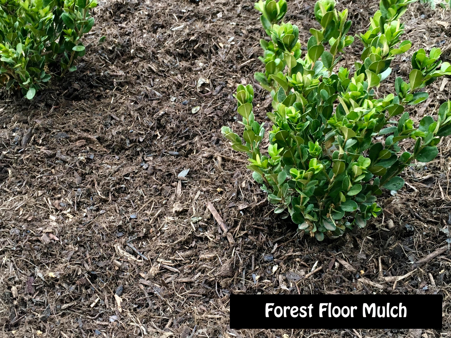 Ground Covers Mulch