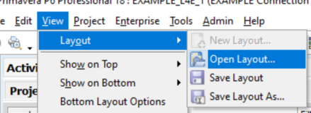 Go to view open layout in Primavera P6