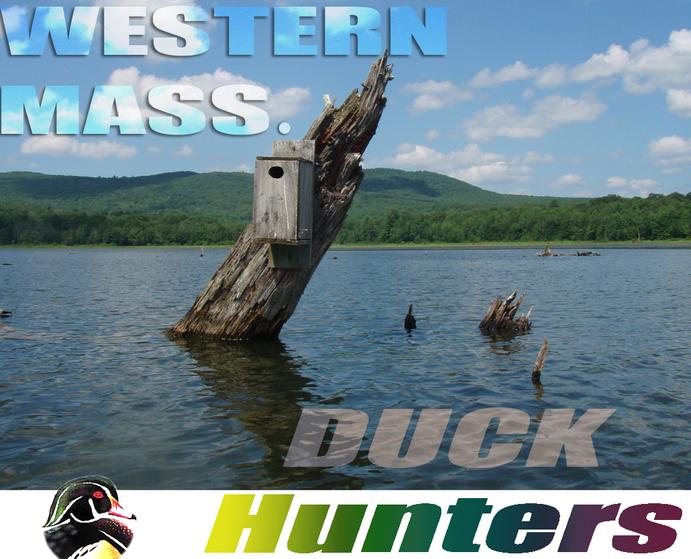 Western Mass. Duck Hunters