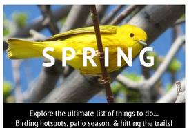 Spring on the 42
