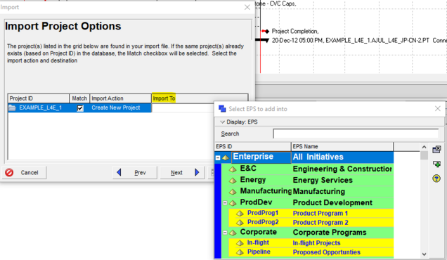 Import project options in Primavera P6