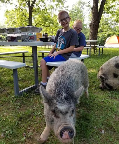 Vegan Cookout with Pigs