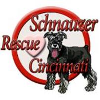 Schnauzer Rescue of Cincinnati Rescue Logo