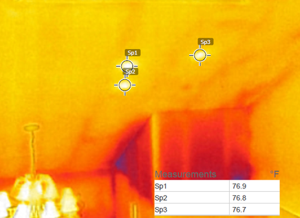 Thermal image of flying squirrels