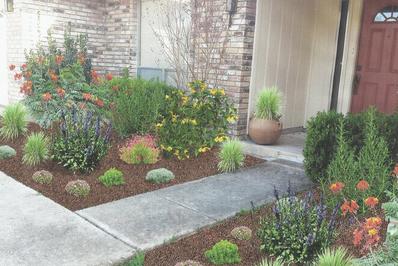 affordable san antonio landscaper two flower beds on either side of a concrete walkway with large shrubs and various perennials on both sides in San Antonio texas