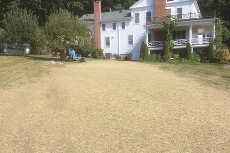 seed and mulch hay
