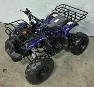 Kent-Ohio-Coolster-Dealer-125cc-ATV-BlueSpider.jpg