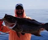 grouper fishing charters