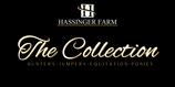 Hassinger Horse Collection