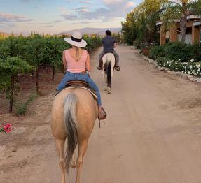 Guided Horseback Tour Temecula, CA