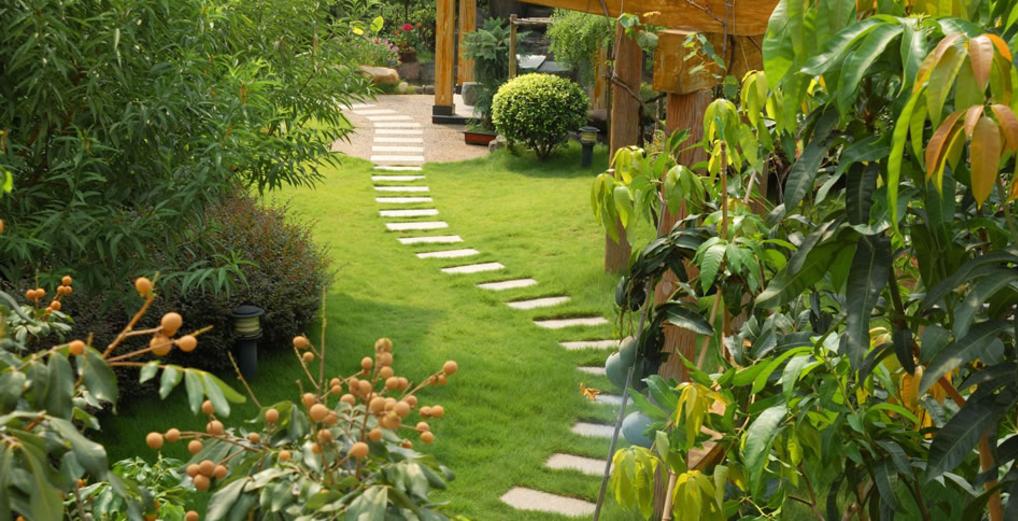 Leading Gardener Services and Cost Edinburg McAllen Texas| RGV Household Services