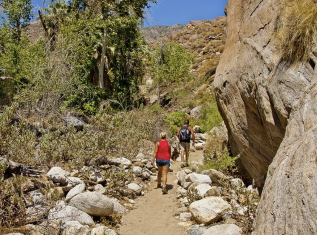 are dogs allowed at tahquitz canyon