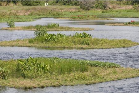 FL- Fish Pond & Water Garden ContractorTitusville Space Coast, Brevard  County