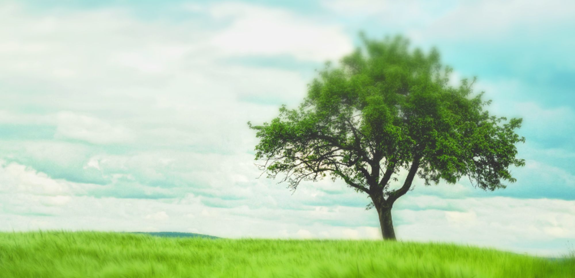 Adolescent Learner Hooked On Mobile Device Amidst Natures Tranquility Photo  Background And Picture For Free Download - Pngtree