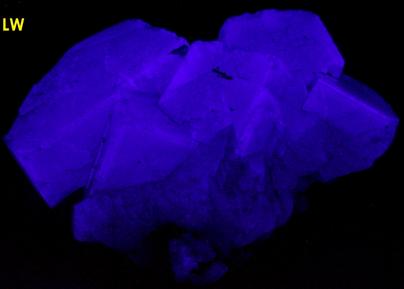 fluorescent long short wave Yellow Fluorite, siderite,Cumbria, England, UK, ex Foote