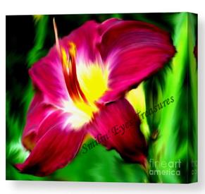 Daylily Flower