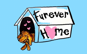 Furever Home - clicking on this link will take you to ticketing