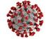 Corona Virus update