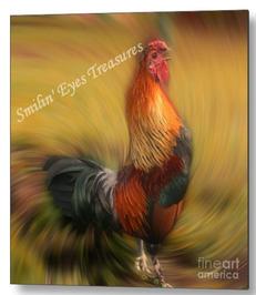 Rooster Crowing