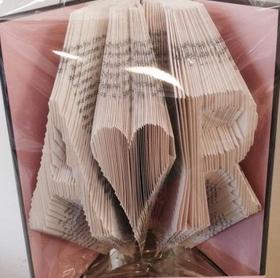 Corrigami Folded Books