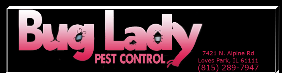 Daytona Area Pest Control Services From Universal Pest Control