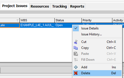 Primavera P6 issues can be deleted