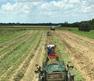kids planting potatoes