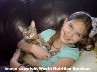 Certified veterinary outlet nutritionist