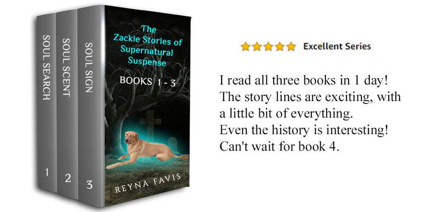 Soul Search (The Zackie Stories Book 1) by Reyna Favis