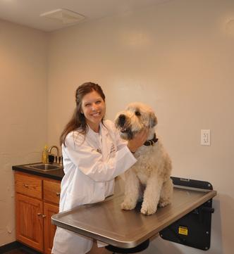 THE Dr. Katie in Examination room #1 of Cincinnati Hills Animal Clinic Montgomery Road location