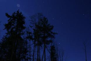 starry night sky, dream, night, inspiration, trees, stars