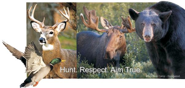 Hunting Black Bear, Deer, Moose, Grouse, Ducks, Geese