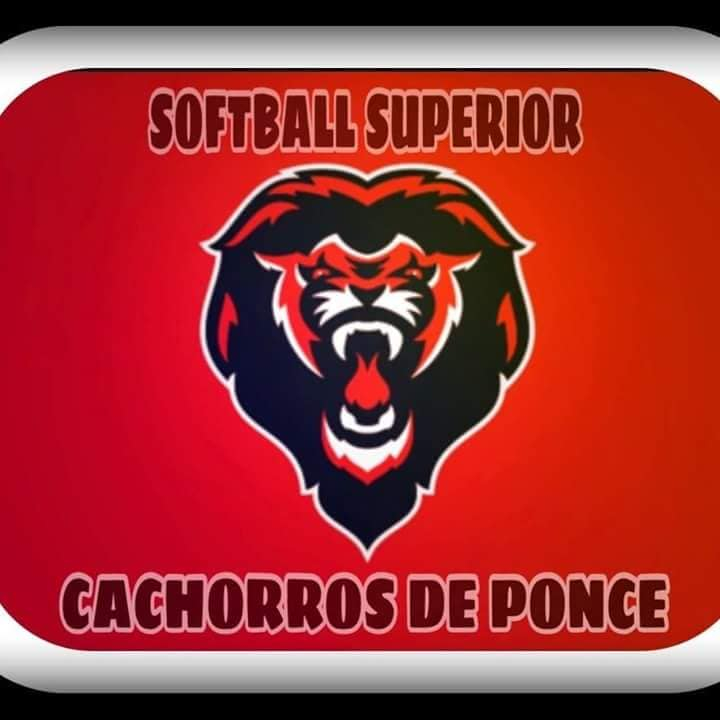 LEONES DE PONCE Softbol Superior softball - Store