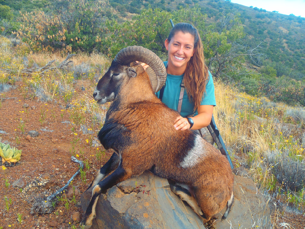 Maui Fish Hook- Hawaiian Mouflon Sheep