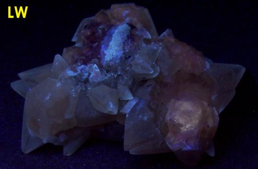 CALCITE crystals, fluorescent - Pugh Quarry (France Stone Co. Custar quarry), Weston (near Custar), Wood County, Ohio, USA, ex Paul and Betty Kelly, collected ~1960