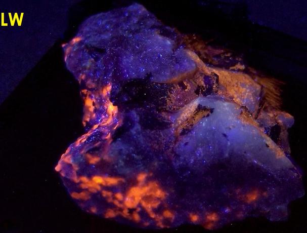 ASTROPHYLLITE, Aegirine crystals, fluorescent SODALITE - Poudrette quarry (Demix quarry; Uni-Mix quarry; Desourdy quarry; Carrière Mont Saint-Hilaire; MSH), Mont Saint-Hilaire, La Vallée-du-Richelieu RCM, Montérégie, Québec, Canada