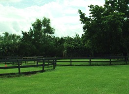 Dressage Barn Wellington Florida Halvorsrod Farm Boarding