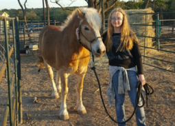 equine rehabilitation central texas camps profit wrap horse non health summer