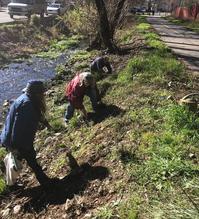 Randolph Creek Project at El Dorado Trail Community Pride Volunteers Placerville California