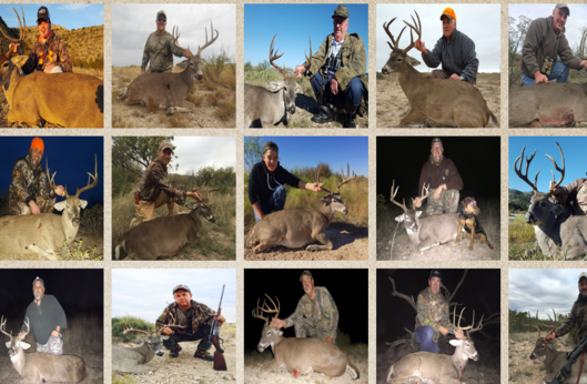 2015 Deer Hunting Pictures