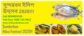 Food Themed Sundarban Tour Package