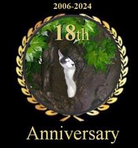 17 year anniversary for Fantasy Forest Cat Trees