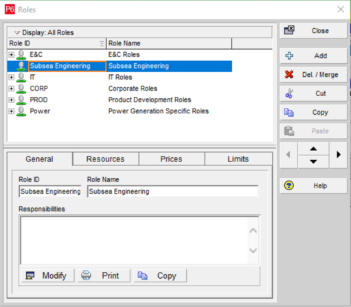 Select and assign Primavera P6 roles