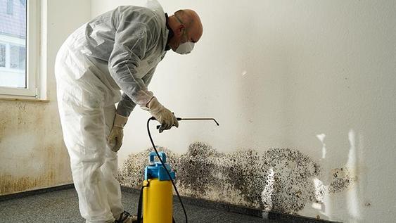 MOLD CLEANING SERVICES FROM MGM HOUSEHOLD SERVICES