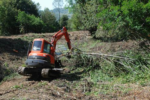 Affordable Land Clearing Services in Omaha NE | Omaha Junk Disposal