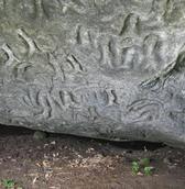 Rock engravings