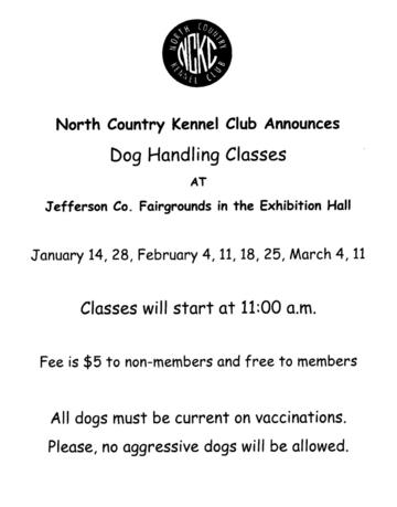 Kennel best sale club classes